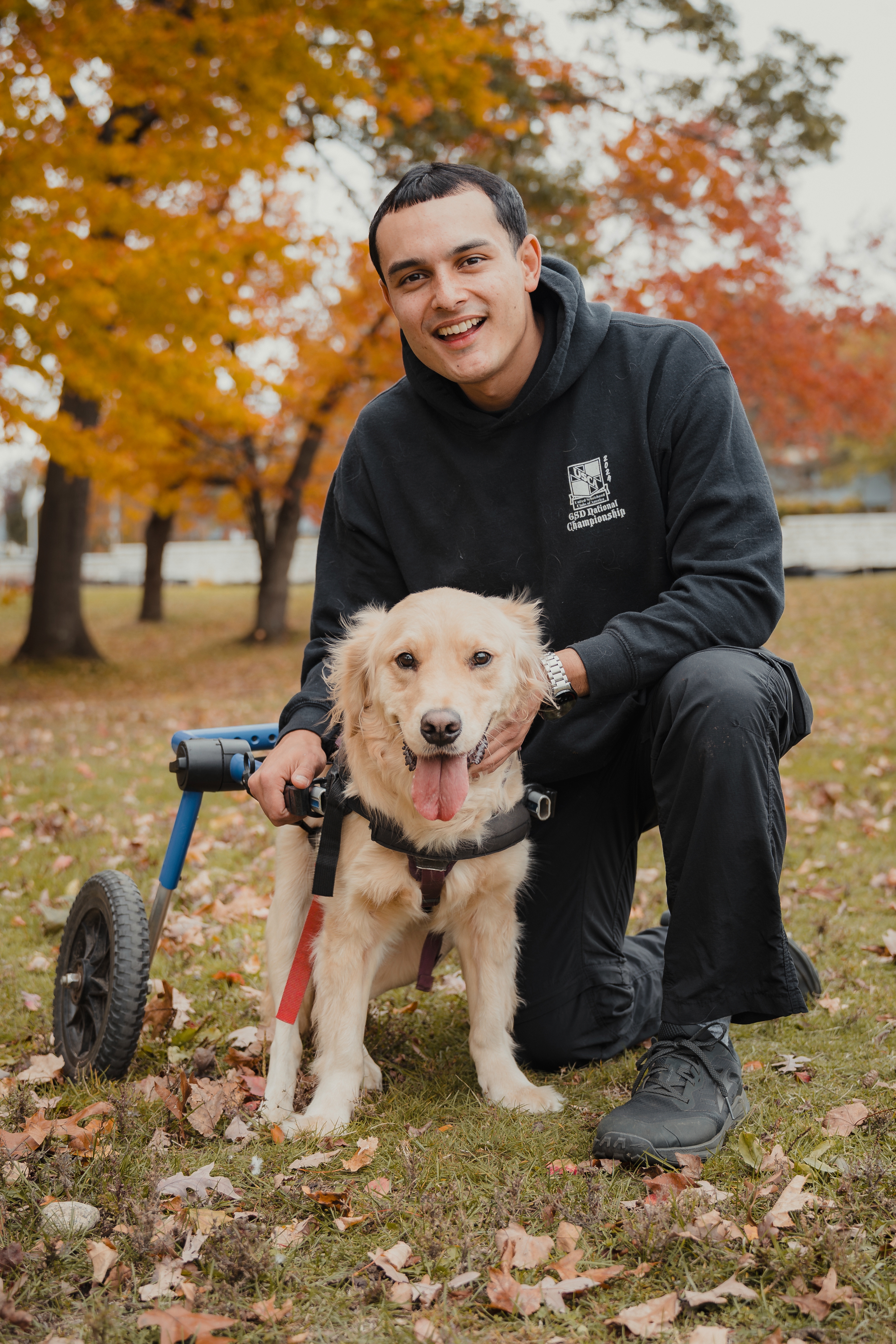 Steven Alejandro training dogs outdoors